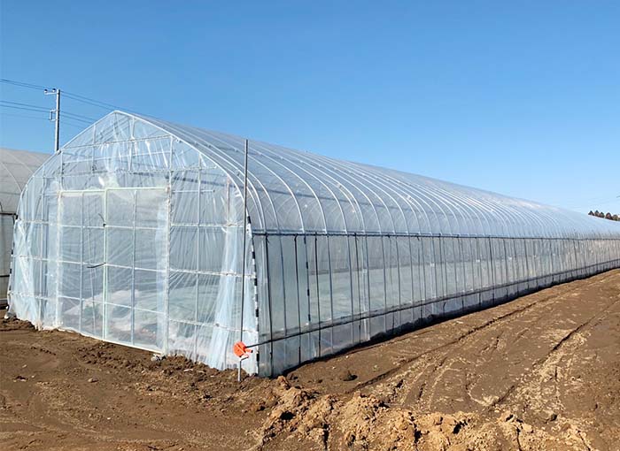 ビニールハウス