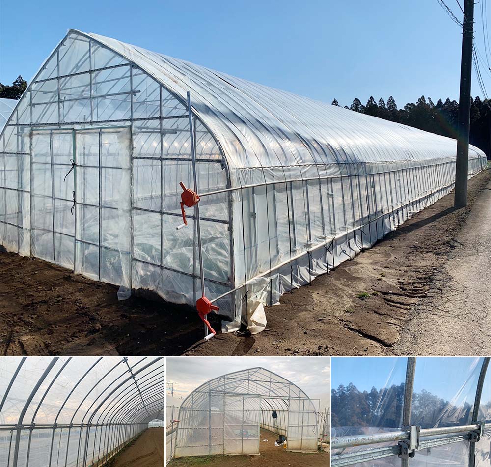 ビニールハウス